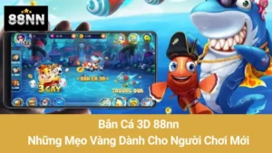 Bắn Cá 3D 88nn: Những Mẹo Vàng Dành Cho Người Chơi Mới 3 Bắn Cá 3D 88nn: Những Mẹo Vàng Dành Cho Người Chơi Mới
