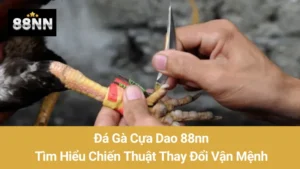 Đá Gà Cựa Dao 88nn: Tìm Hiểu Chiến Thuật Thay Đổi Vận Mệnh