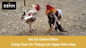 Đá Gà Online 88nn: Cùng Chơi Và Thắng Lớn Ngay Hôm Nay 4 Đá Gà Online 88nn: Cùng Chơi Và Thắng Lớn Ngay Hôm Nay