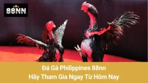 Đá Gà Philippines 88nn: Hãy Tham Gia Ngay Từ Hôm Nay