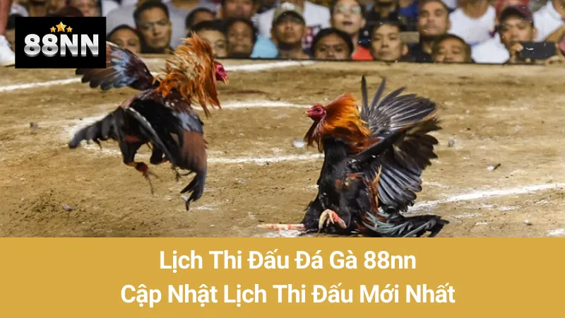 Lịch Thi Đấu Đá Gà 88nn: Cập Nhật Lịch Thi Đấu Mới Nhất