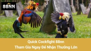 Quick Cockfight 88nn: Tham Gia Ngay Để Nhận Thưởng Lớn 6 Quick Cockfight 88nn: Tham Gia Ngay Để Nhận Thưởng Lớn
