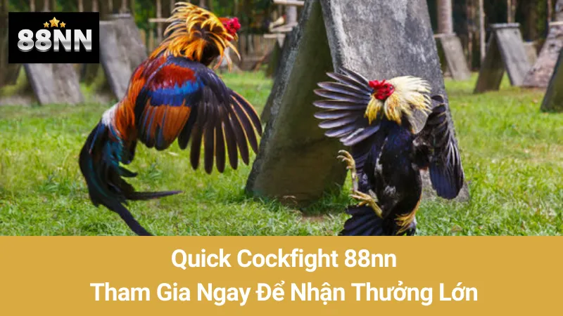 Quick Cockfight 88nn: Tham Gia Ngay Để Nhận Thưởng Lớn